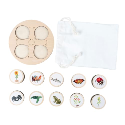 BESPORTBLE Wachstumszyklus Biologisches Tiermodell Holzspielzeug für Kinder Kognitives Lernspielzeug zur Lebenszyklus Simulation von Tieren Pädagogisches Spielzeug für Jungen und Mädchen BESPORTBLE Wachstumszyklus Biologisches Tiermodell Holzspielzeug für Kinder Kognitives Lernspielzeug zur Lebenszyklus Simulation von Tieren Pädagogisches Spielzeug für Jungen und Mädchen von BESPORTBLE