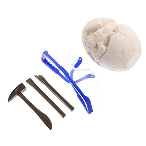 BESPORTBLE 1Satz Lustiges Grabenspielzeug Dinosaurier Knochen Fossilien Modell Für DIY Ausgrabung Interessantes Lernspielzeug Für Jungen Und Ab Jahren von BESPORTBLE