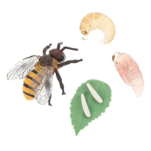 BESPORTBLE 1Satz Nachahmungsmodell des Bienenlebenszyklus Für Pädagogisches Lernspielzeug Aus Teiliges Für Schule Und Freizeit Kognitives Für Kleine von BESPORTBLE