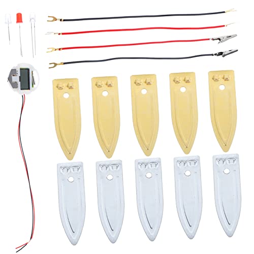 BESPORTBLE 1Satz Obstbatterie Experimentierkasten Für DIY Wissenschaftsprojekt Für Pädagogisches Für Experimentierfreunde Für Schulprojekte Und Kreative Lernaktivitäten von BESPORTBLE