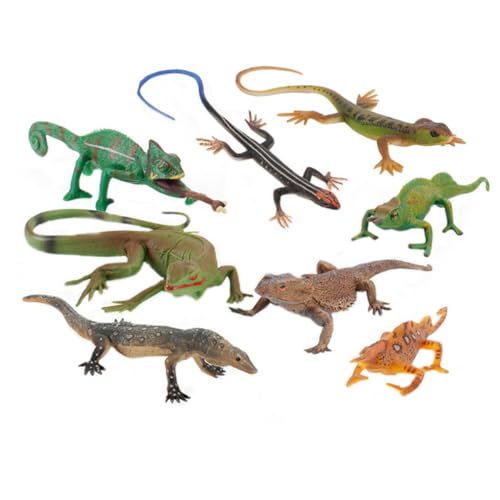 BESPORTBLE 1Satz Simulation Eidechsen Modell Für Pädagogisches Tiermodell Aus Robustem Plastik Für Lernen Und Dekoration Für Jungen Und Ab Jahren von BESPORTBLE