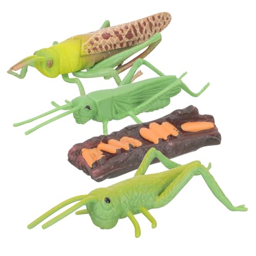 BESPORTBLE 1Satz Simuliertes Tiermodell Tierwachstumszyklus Modell Für Kognitives Lernspielzeug Realistische Tiere Für Frühkindliche Bildung Verschiedene Tierarten von BESPORTBLE