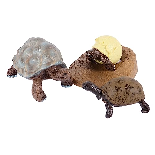 BESPORTBLE 1Satz Teiliges Lernspielzeug Lebenszyklus Modell Der Schildkröte Für Kognitive Entwicklung Pädagogisches Für Vorschulkinder Lebensechte Figuren BESPORTBLE 1Satz Teiliges Lernspielzeug Lebenszyklus Modell Der Schildkröte Für Kognitive Entwicklung Pädagogisches Für Vorschulkinder Lebensechte Figuren von BESPORTBLE