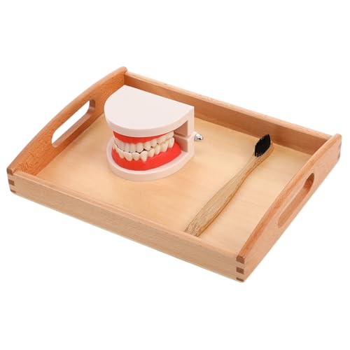 BESPORTBLE 1Satz Waschgurgelspielzeug aus Holz Lernspielzeug für Zahnpflege und Hygiene Fördert Praktische Fähigkeiten und Eltern Junge Mädchen Interaktion BESPORTBLE 1Satz Waschgurgelspielzeug aus Holz Lernspielzeug für Zahnpflege und Hygiene Fördert Praktische Fähigkeiten und Eltern Junge Mädchen Interaktion von BESPORTBLE