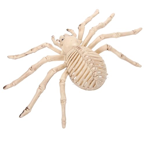 BESPORTBLE 1Stück Halloween Skelett Spinne für Gruseldekoration Beige Realistisch Modelliert für Partys Türen und Fenster Schreckliche Schaffen BESPORTBLE 1Stück Halloween Skelett Spinne für Gruseldekoration Beige Realistisch Modelliert für Partys Türen und Fenster Schreckliche Schaffen von BESPORTBLE