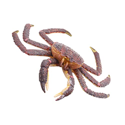 BESPORTBLE 1Stück Krabbenförmiges Plastikkrebs Ornament Realistisches Meereslebewesen Modell Für Spielzeugdekoration Für Aquarien Und Sandkästen BESPORTBLE 1Stück Krabbenförmiges Plastikkrebs Ornament Realistisches Meereslebewesen Modell Für Spielzeugdekoration Für Aquarien Und Sandkästen von BESPORTBLE