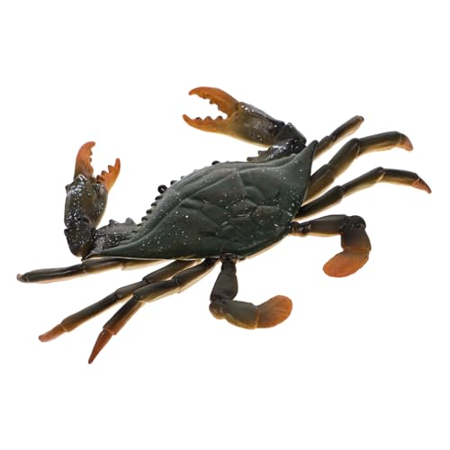BESPORTBLE 1Stück Krabbenmodell Lustiges Lernspielzeug Für Realistisches Modell Von Meereslebewesen Für Kognitive Entwicklung Fördert Kreativität Und Fantasie BESPORTBLE 1Stück Krabbenmodell Lustiges Lernspielzeug Für Realistisches Modell Von Meereslebewesen Für Kognitive Entwicklung Fördert Kreativität Und Fantasie von BESPORTBLE