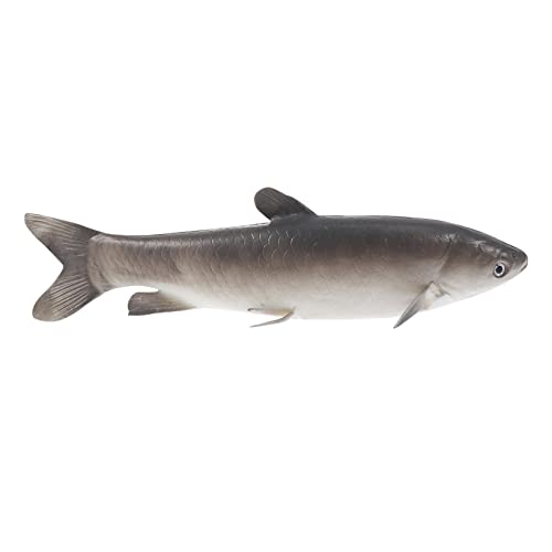 BESPORTBLE Fischdekorationen Für Jungen Und Mädchen Simulationsfischspielzeug Realistische Meerestierfiguren Für Das Aquarium von BESPORTBLE