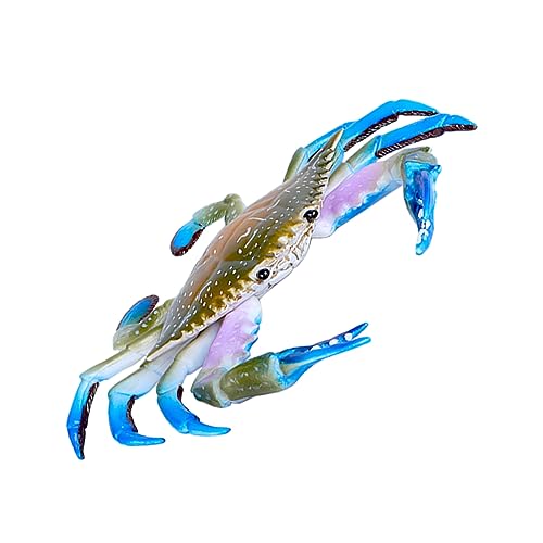 BESPORTBLE 1Stück Kunststoff Pädagogisches Life Modell Für Realistische Simulation Von Meerestieren Für Kleinen von BESPORTBLE