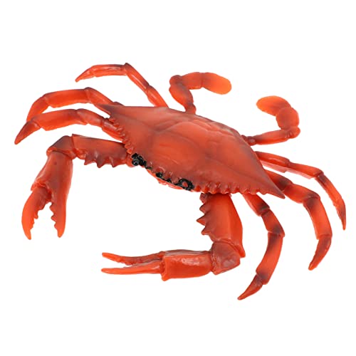 BESPORTBLE 1Stück Modell Simuliertes Krabbenmodell Für Kognitives Frühkindlichen Bildung Creature Figur BESPORTBLE 1Stück Modell Simuliertes Krabbenmodell Für Kognitives Frühkindlichen Bildung Creature Figur von BESPORTBLE