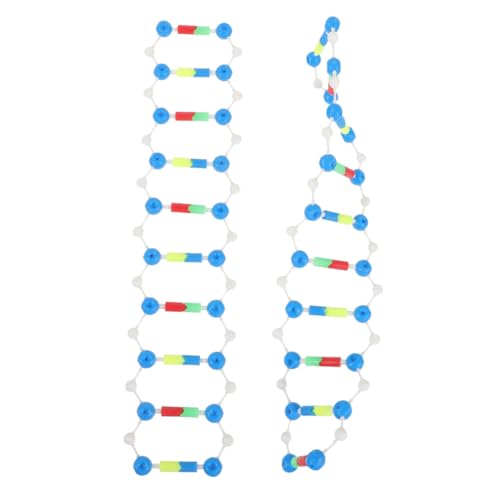 BESPORTBLE 2 Stück DNA Modell Doppelhelix Bausatz Wissenschaftliches Lehrmittel Biologie Unterricht Unterrichtsmodell für Labor Analyse und Schulklassen BESPORTBLE 2 Stück DNA Modell Doppelhelix Bausatz Wissenschaftliches Lehrmittel Biologie Unterricht Unterrichtsmodell für Labor Analyse und Schulklassen von BESPORTBLE