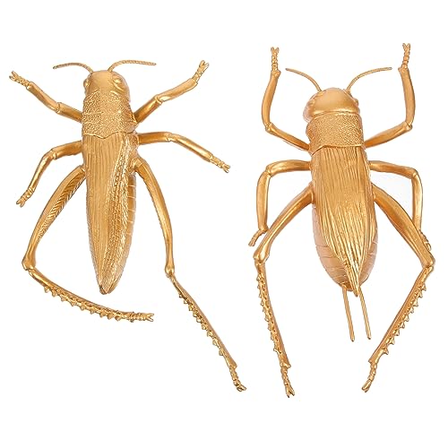 BESPORTBLE 2 Stück Realistische Insektenmodelle Teiliges aus Stabile Simulation für Desktop Dekoration Kompakte Flacher Boden Langlebige Bastelfiguren für und Party BESPORTBLE 2 Stück Realistische Insektenmodelle Teiliges aus Stabile Simulation für Desktop Dekoration Kompakte Flacher Boden Langlebige Bastelfiguren für und Party von BESPORTBLE