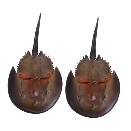 BESPORTBLE 2 Stück Realistische Krabbenfiguren Kunststoff Meerestier Modelle Lebensechte Ozeanische Dekoration für Sammelfiguren Vielseitig für Sandkasten und Puppenhaus BESPORTBLE 2 Stück Realistische Krabbenfiguren Kunststoff Meerestier Modelle Lebensechte Ozeanische Dekoration für Sammelfiguren Vielseitig für Sandkasten und Puppenhaus von BESPORTBLE