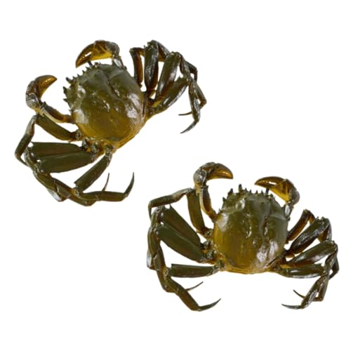 BESPORTBLE 2 Stück Realistisches Teiliges Krabbenmodell Lebensechte Simulation Pädagogisches für Dekoratives Meeresfrüchte Display Leicht und Kompakt für Aquarium und Foto Requisiten BESPORTBLE 2 Stück Realistisches Teiliges Krabbenmodell Lebensechte Simulation Pädagogisches für Dekoratives Meeresfrüchte Display Leicht und Kompakt für Aquarium und Foto Requisiten von BESPORTBLE