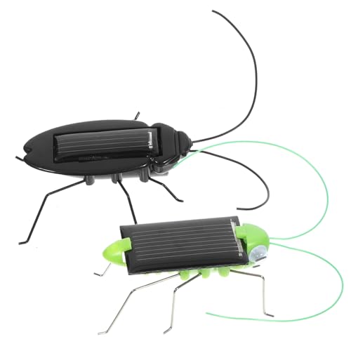 BESPORTBLE 2 Stück Teiliges Insektenspielzeug mit und Kakerlake Solarbetriebenes Pädagogisches Outdoor für Schüler Lehrreiches Sommerspielzeug für Jungen und Mädchen BESPORTBLE 2 Stück Teiliges Insektenspielzeug mit und Kakerlake Solarbetriebenes Pädagogisches Outdoor für Schüler Lehrreiches Sommerspielzeug für Jungen und Mädchen von BESPORTBLE