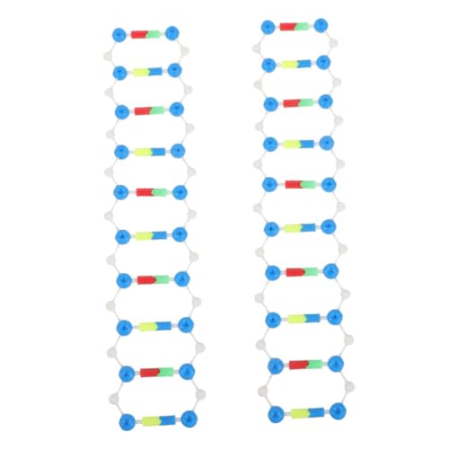 BESPORTBLE 2 Teiliges Doppelhelix Strukturmodell Modelle Modellbausätze Für Erwachsene Chemie Modellbausatz Chemie Molekülmodellbausatz Spiel Zusammenbaumodell DNA Werkzeuge DNA von BESPORTBLE