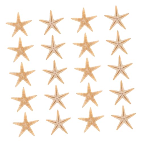 BESPORTBLE 20 Stück Mini Seestern Dekorationen für DIY Projekte Aromatische Kerzenherstellung und Strand Thema Epoxid Zubehör für Hochzeitsdekoration und Kreative Bastelideen BESPORTBLE 20 Stück Mini Seestern Dekorationen für DIY Projekte Aromatische Kerzenherstellung und Strand Thema Epoxid Zubehör für Hochzeitsdekoration und Kreative Bastelideen von BESPORTBLE