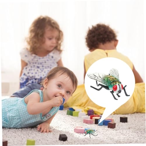 BESPORTBLE 2Stück Teiliges Lernspielzeug aus Kunststoff Lebensechte Fliegenmodelle Gefälschte Insektenfiguren für Pädagogisches für Ostern Halloween und Partys BESPORTBLE 2Stück Teiliges Lernspielzeug aus Kunststoff Lebensechte Fliegenmodelle Gefälschte Insektenfiguren für Pädagogisches für Ostern Halloween und Partys von BESPORTBLE