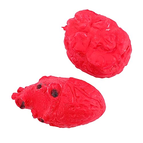 BESPORTBLE 2Stücke Halloween Horror Gehirn Und Herz Modell Dekoration Für Gruselfeiern Und Partys Realistische Effekte Für Spukhaus Für Halloween Deko Und Veranstaltungen BESPORTBLE 2Stücke Halloween Horror Gehirn Und Herz Modell Dekoration Für Gruselfeiern Und Partys Realistische Effekte Für Spukhaus Für Halloween Deko Und Veranstaltungen von BESPORTBLE