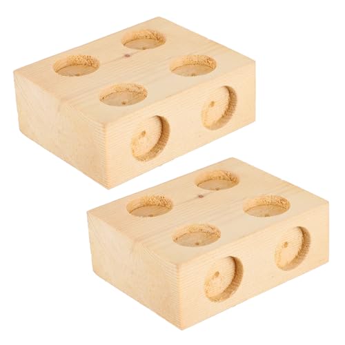 BESPORTBLE 2Stücke Holzblock Reibungsblock Schiefe Zubehör Für Physik Experimente Experimentelle Ausrüstung Für Schule Und Labor Für Lehrzwecke Und Lernförderung von BESPORTBLE