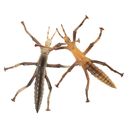 BESPORTBLE 2Stücke Insektenfiguren Insektenmodell Für Realistisches Zur Insektenerkennung Für Lernspiele Und Dekoration Robustes Und Leicht Zu Reinigendes Material von BESPORTBLE