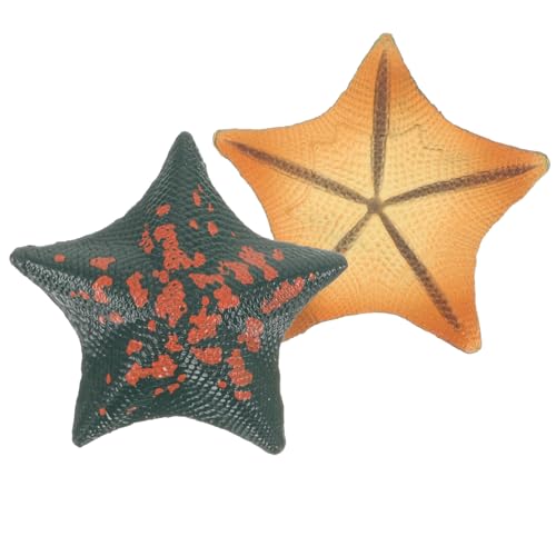 BESPORTBLE 2Stücke Kleines Seesternmodell Niedliches Seestern Für Zubehör Kognitiven Entwicklung Strand Und Wasserspiele BESPORTBLE 2Stücke Kleines Seesternmodell Niedliches Seestern Für Zubehör Kognitiven Entwicklung Strand Und Wasserspiele von BESPORTBLE
