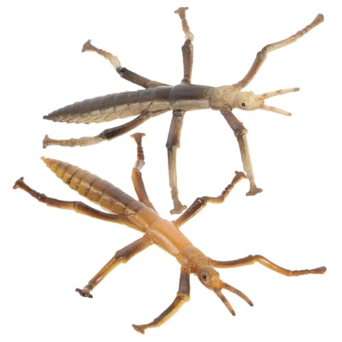 BESPORTBLE 2Stücke Realistische Stick Insekten Modelle Für Lernspielzeug Zur Insektenbeobachtung Und Fördert Die Kognitive Entwicklung Und Verständnis Für Insekten von BESPORTBLE