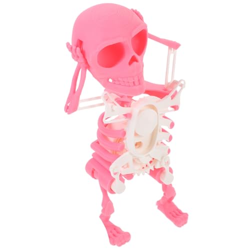 BESPORTBLE 2Stücke Tanzendes Skelett Für Kreatives Zappelspielzeug Für Drinnen Und Draußen Farbenfrohe Druckdesigns Für Jungen BESPORTBLE 2Stücke Tanzendes Skelett Für Kreatives Zappelspielzeug Für Drinnen Und Draußen Farbenfrohe Druckdesigns Für Jungen von BESPORTBLE