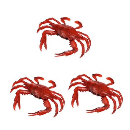 BESPORTBLE 3 Stück Realistisches Krabbenmodell für Pädagogisches Meerestier Robustes Detailgetreues Wasserspielzeug Rot Fantasie und Farberkennung BESPORTBLE 3 Stück Realistisches Krabbenmodell für Pädagogisches Meerestier Robustes Detailgetreues Wasserspielzeug Rot Fantasie und Farberkennung von BESPORTBLE