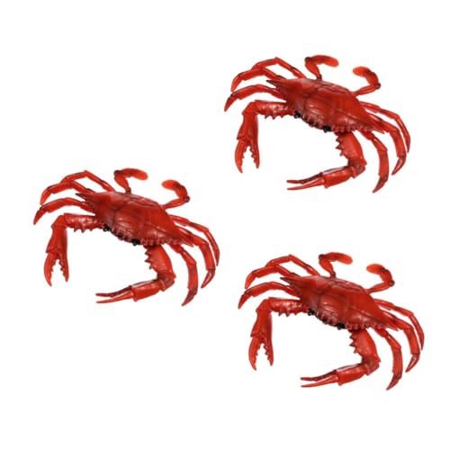 BESPORTBLE 3 Stück Realistisches Krabbenmodell und Dekoration Pädagogisches Wasserlebewesen Tierfigur Fördert Fantasie und Farberkennung Robustes Material Lernspielzeug BESPORTBLE 3 Stück Realistisches Krabbenmodell und Dekoration Pädagogisches Wasserlebewesen Tierfigur Fördert Fantasie und Farberkennung Robustes Material Lernspielzeug von BESPORTBLE