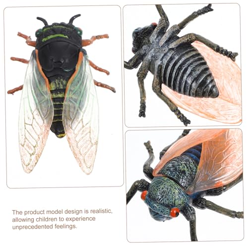 BESPORTBLE 3 Stück Teiliges Zikaden Modell aus Langlebigem Kunststoff Realistische Insektenfigur für Kleine Desktop Dekoration Detailreiche Nachbildung für Lernspielzeug und Gartenakzent von BESPORTBLE