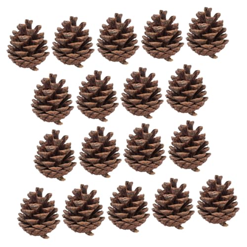 BESPORTBLE 30Stücke Natürliche Für DIY Weihnachtsbaumdekoration Bastelmaterial Für Kränze Und Festliche Handarbeiten Für Kreative Weihnachtsprojekte von BESPORTBLE