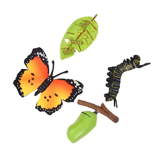 BESPORTBLE 3Sätze Insektenwachstum Modell Schmetterlinge Lebenszyklus Figuren Pädagogisches Für Kognitive Lernhilfen Für Naturwissenschaften BESPORTBLE 3Sätze Insektenwachstum Modell Schmetterlinge Lebenszyklus Figuren Pädagogisches Für Kognitive Lernhilfen Für Naturwissenschaften von BESPORTBLE