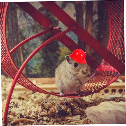 BESPORTBLE 40 Stück Teiliges Mini Sicherheitshelm Bunte Puppen und Haustier Helme aus Leichtem Kunststoff Dekorative Accessoires für Kleine Puppen und Tiere BESPORTBLE 40 Stück Teiliges Mini Sicherheitshelm Bunte Puppen und Haustier Helme aus Leichtem Kunststoff Dekorative Accessoires für Kleine Puppen und Tiere von BESPORTBLE