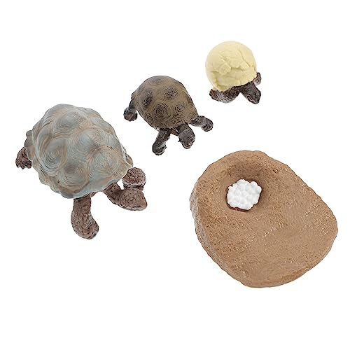 BESPORTBLE 4 Stück Schildkröte Lebenszyklus Spielzeug Pädagogisches Spiel für Kinder Wachstum Stadien Figur PVC Bunte Schreibtisch Dekoration für Lernspielzeug BESPORTBLE 4 Stück Schildkröte Lebenszyklus Spielzeug Pädagogisches Spiel für Kinder Wachstum Stadien Figur PVC Bunte Schreibtisch Dekoration für Lernspielzeug von BESPORTBLE