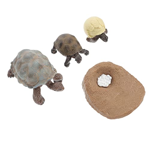 BESPORTBLE 4Stücke Teiliges Schildkrötenwachstumszyklus Lebenszyklus Figuren Für Tierfiguren Zur des Lernens Kreativität Zufällige Farben BESPORTBLE 4Stücke Teiliges Schildkrötenwachstumszyklus Lebenszyklus Figuren Für Tierfiguren Zur des Lernens Kreativität Zufällige Farben von BESPORTBLE