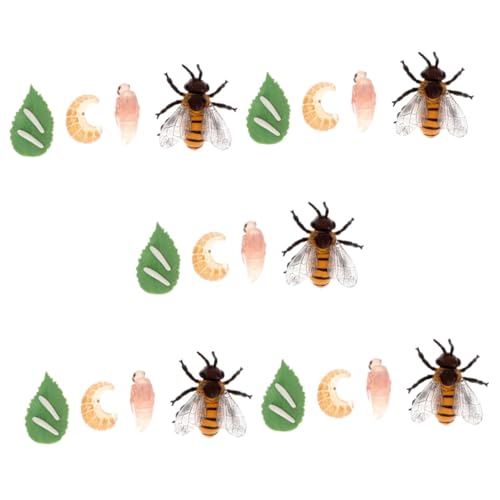 BESPORTBLE 5 Sätze Simulationsmodell Bienen Lebenszyklus Teiliges Lernspielzeug für Realistische Figuren aus Kunststoff Pädagogisch für Zuhause und Schule Fördert Kreativität und BESPORTBLE 5 Sätze Simulationsmodell Bienen Lebenszyklus Teiliges Lernspielzeug für Realistische Figuren aus Kunststoff Pädagogisch für Zuhause und Schule Fördert Kreativität und von BESPORTBLE