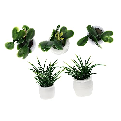 BESPORTBLE 5 Stück Teiliges Mini Pflanzen Modell Realistische Bonsai Deko Pflegefrei Langlebig Vielseitig für Puppenhaus DIY Bastelarbeiten und Tischdekoration von BESPORTBLE