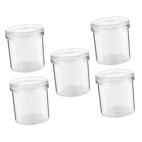 BESPORTBLE 5Stücke Outdoor Insektenbeobachtungsboxen Multifunktionale Transparente Vergrößerungsbehälter Für Naturwissenschaftsspielzeug Mit Lupe Und Plastikschachtel von BESPORTBLE