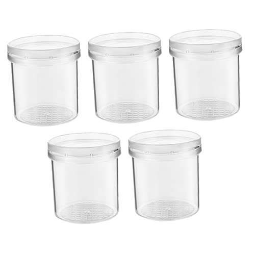 BESPORTBLE 5Stücke Outdoor Insektenbeobachtungsboxen Transparente Vergrößerungsbehälter Für Multifunktionale Insektenkäfige Für Naturwissenschaftsexperimente Und Erkundungen Im Freien BESPORTBLE 5Stücke Outdoor Insektenbeobachtungsboxen Transparente Vergrößerungsbehälter Für Multifunktionale Insektenkäfige Für Naturwissenschaftsexperimente Und Erkundungen Im Freien von BESPORTBLE