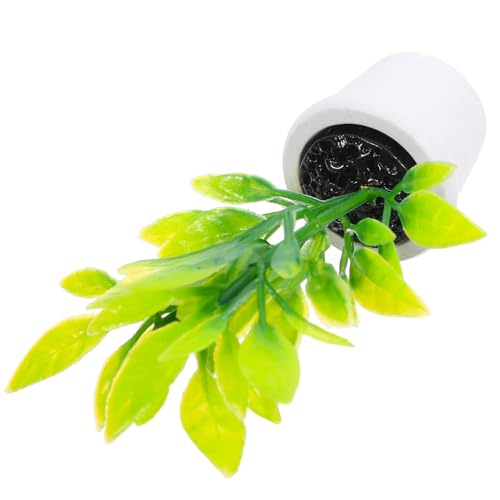 BESPORTBLE Bonsai Dekoration Für Puppenhaus Winzige Topfpflanze Realistische Deko Für Mikro Landschaften Langlebig Und Sicher Für Kreative Heimgestaltungen BESPORTBLE Bonsai Dekoration Für Puppenhaus Winzige Topfpflanze Realistische Deko Für Mikro Landschaften Langlebig Und Sicher Für Kreative Heimgestaltungen von BESPORTBLE