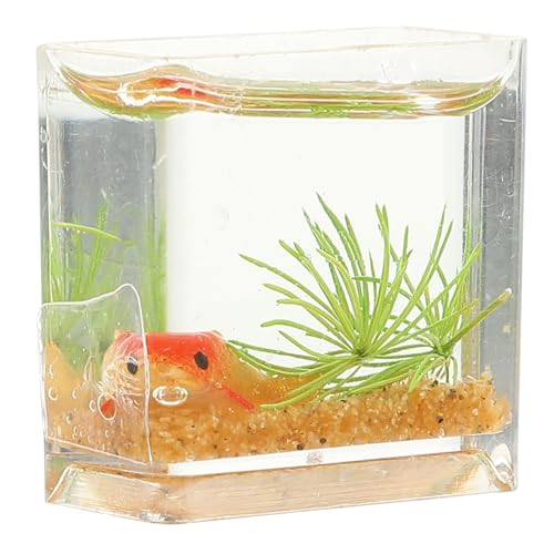 BESPORTBLE Fisch Tank Modell Dekorative Tischdekoration Für Miniaturhandwerk Kleines Fischschalen Für Kreative Wohnraumgestaltung BESPORTBLE Fisch Tank Modell Dekorative Tischdekoration Für Miniaturhandwerk Kleines Fischschalen Für Kreative Wohnraumgestaltung von BESPORTBLE