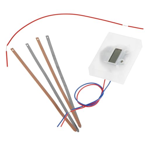 BESPORTBLE Fruchtbatterie Experimentierkasten DIY mit Digitaluhr Kartoffeluhr Wissenschaftsset für Pädagogisches Obst Batterie Kit Kreativität und Praktischen Fähigkeiten von BESPORTBLE