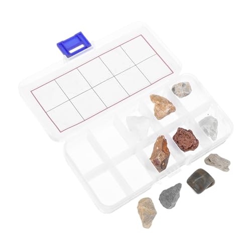BESPORTBLE Für Natürlichen Steinproben Fossilien und Kristallen Mit Aufbewahrungsbox und Bestimmungsanleitung für Grundschulunterricht und Zuhause BESPORTBLE Für Natürlichen Steinproben Fossilien und Kristallen Mit Aufbewahrungsbox und Bestimmungsanleitung für Grundschulunterricht und Zuhause von BESPORTBLE