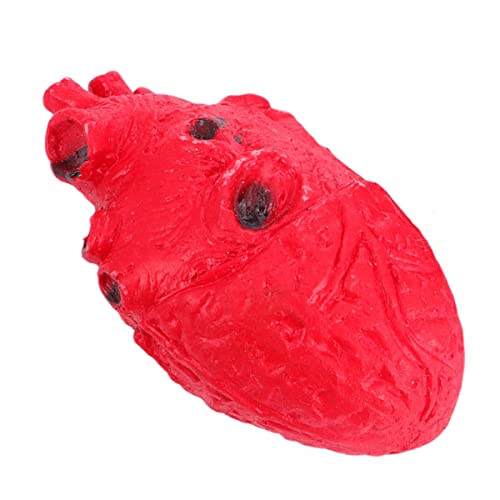 BESPORTBLE Halloween Fake Heart Requisite Realistisches Deko Herz für Gruselige Halloween Partys Spukhaus Dekorationen und Eerie für Themenräume von BESPORTBLE
