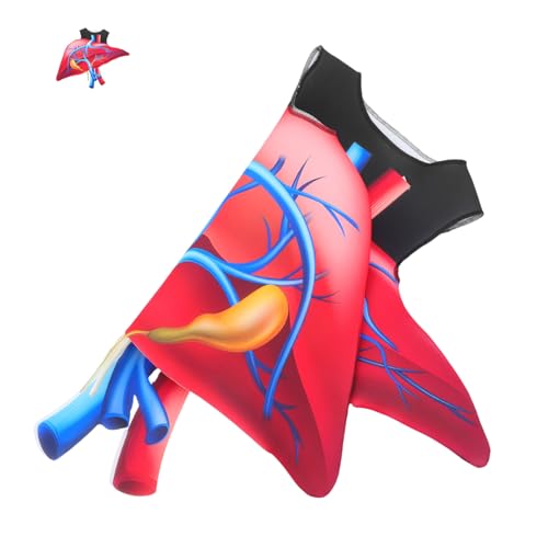 BESPORTBLE Halloween Herzanzug Gruseliges Herzkostüm Valentinstag Halloween Herz Requisite Medizinisches Kostüm Gruseliges Herzkostüm Valentinstag Cosplay Kostüm Polyester von BESPORTBLE