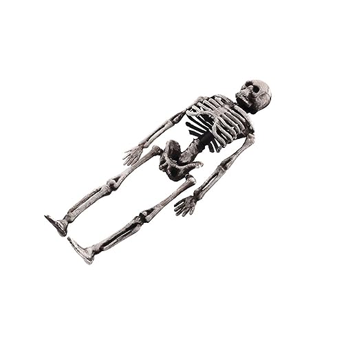 BESPORTBLE Halloween Skelett Dekoration Skelett Modell Für Grusel Hochwertiges Kunststoffmaterial Für Halloween Party Und Scherze Halloween Horror Deko von BESPORTBLE