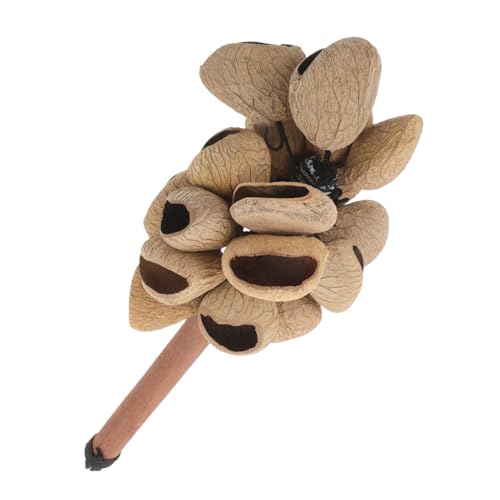 BESPORTBLE Handgefertigte Afrikanische Shaker Rassel mit Holzgriff aus Pflanzlichen Früchten Natürlicher Klang Traditionelles Percussioninstrument für Musik Tanz und Kulturelle Aufführungen BESPORTBLE Handgefertigte Afrikanische Shaker Rassel mit Holzgriff aus Pflanzlichen Früchten Natürlicher Klang Traditionelles Percussioninstrument für Musik Tanz und Kulturelle Aufführungen von BESPORTBLE