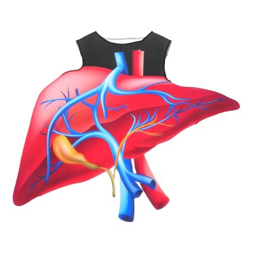 BESPORTBLE Herzkostüm für Halloween: Herz-Charakterkostüm für Kinder – Lustiges Halloween-Kostüm, gruseliges Orgel-Cosplay, wissenschaftliches Bühnenoutfit BESPORTBLE Herzkostüm für Halloween: Herz-Charakterkostüm für Kinder – Lustiges Halloween-Kostüm, gruseliges Orgel-Cosplay, wissenschaftliches Bühnenoutfit von BESPORTBLE