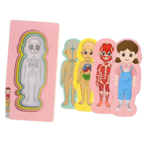 BESPORTBLE Holzpuzzle für Organ Puzzle für Frühe Stem Bildung Montessori für Jungen und Mädchen Fördert Kognitive Fähigkeiten und über Menschlichen Körper BESPORTBLE Holzpuzzle für Organ Puzzle für Frühe Stem Bildung Montessori für Jungen und Mädchen Fördert Kognitive Fähigkeiten und über Menschlichen Körper von BESPORTBLE
